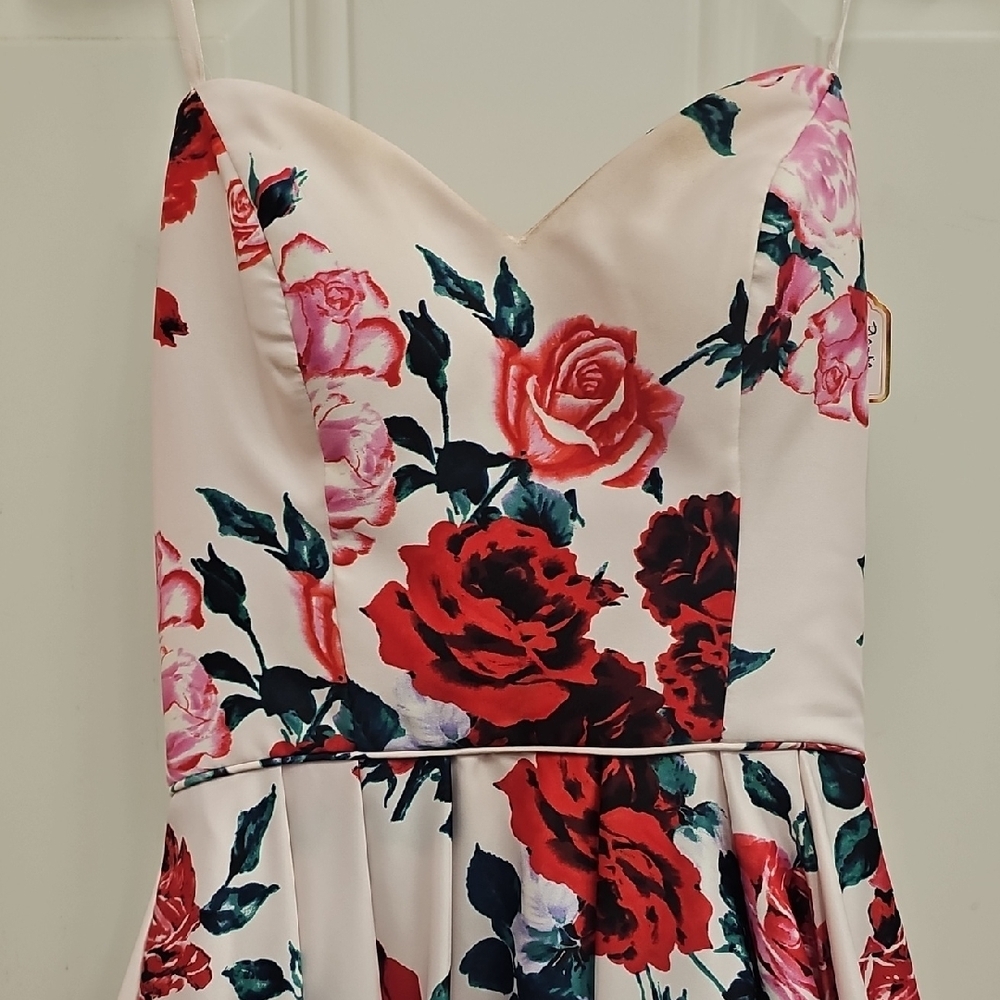Rose, Prom, Dance, Bride, Wedding, Summer, Ball, Formal, Maxi, Corset, Girly